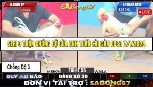 HIGHTLIGHT 3 TRẬN CHỒNG ĐỘ