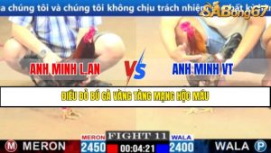 TRẬN 11 CPC1 17/3/2025 : ANH MINH L.AN VS ANH MINH VT