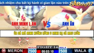 TRẬN 14 CPC1 17/3/2025 : ANH MINH L.AN VS ANH ÂN