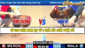 TRẬN 30 CPC1 11/3/2025 : ANH CƯỜNG VS ANH ÚT