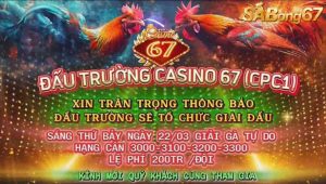 GIẢI GÀ TỰ DO BỒ C1 22/3/2025