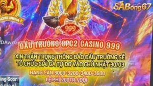 Thông báo giải gà tự do tại bồ gà C2