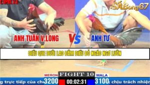 TRẬN 10 CPC1 20/3/2025