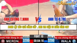 TRẬN 10 CPC3 20/3/2025