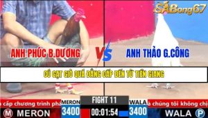 TRẬN 11 CPC3 16/3/2025