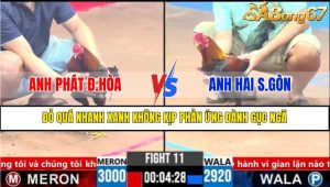 TRẬN 11 CPC3 21/3/2025