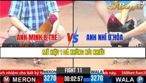 TRẬN 11 CPC3 9/3/2025