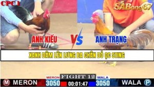 TRẬN 12 CPC1 1/3/2025