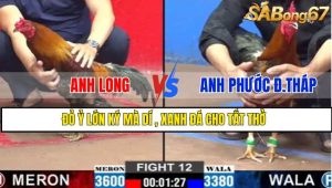 TRẬN 12 CPC2 2/3/2025