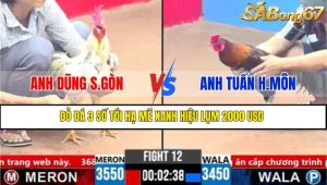 TRẬN 12 CPC3 16/3/2025
