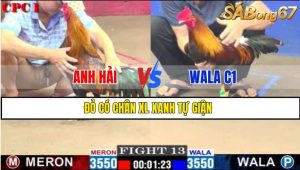 TRẬN 13 CPC1 1/3/2025