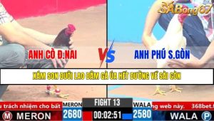 TRẬN 13 CPC3 21/3/2025