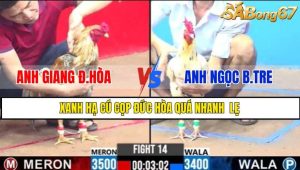 TRẬN 14 CPC3 1/3/2025