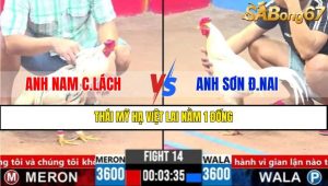 TRẬN 14 CPC3 21/3/2025