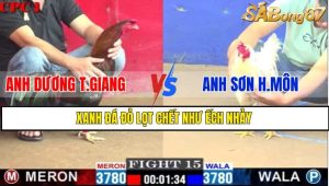 TRẬN 15 CPC1 1/3/2025