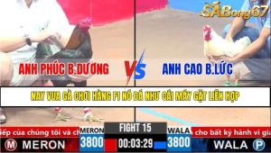 TRẬN 15 CPC3 16/3/2025