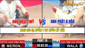 TRẬN 15 CPC3 19/3/2025