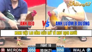 TRẬN 16 CPC3 1/3/2025