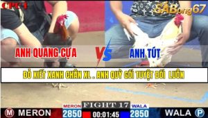 TRẬN 17 CPC1 1/3/2025