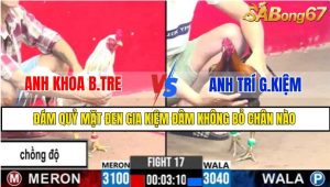TRẬN 17 CPC3 1/3/2025