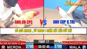 TRẬN 17 CPC3 19/3/2025