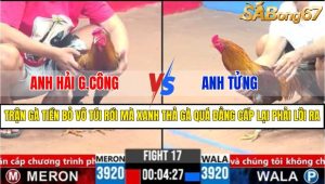 TRẬN 17 CPC3 20/3/2025
