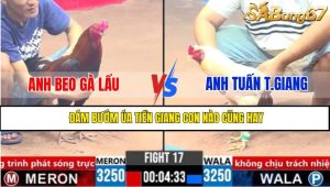 TRẬN 17 CPC3 21/3/2025