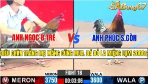 TRẬN 18 CPC1 1/3/2025