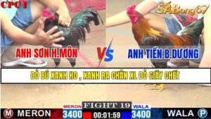TRẬN 19 CPC1 1/3/2025