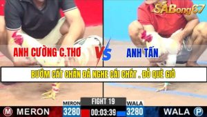 TRẬN 19 CPC3 1/3/2025