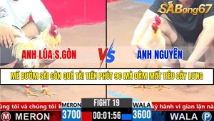 TRẬN 19 CPC3 20/3/2025