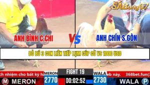 TRẬN 19 CPC3 21/3/2025