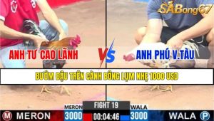TRẬN 19 CPC3 5/3/2025