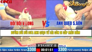 TRẬN 2 CPC1 20/3/2025