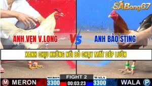 TRẬN 2 CPC2 2/3/2025