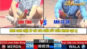 TRẬN 2 CPC3 16/3/2025
