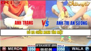 TRẬN 20 CPC1 1/3/2025