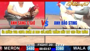 TRẬN 20 CPC2 12/3/2025