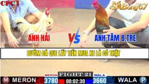 TRẬN 21 CPC1 1/3/2025