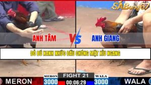 TRẬN 21 CPC2 16/3/2025