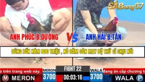 TRẬN 22 CPC3 16/3/2025