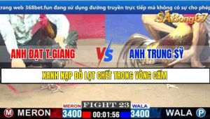 TRẬN 23 CPC1 1/3/2025