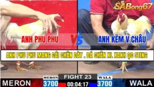 TRẬN 23 CPC2 2/3/2025