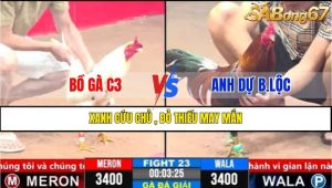 TRẬN 23 CPC3 19/3/2025