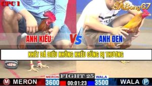 TRẬN 25 CPC1 1/3/2025