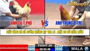 TRẬN 26 CPC2 16/3/2025