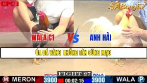 TRẬN 27 CPC1 1/3/2025