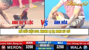 TRẬN 27 CPC3 19/3/2025