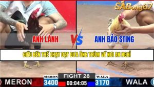 TRẬN 28 CPC2 12/3/2025