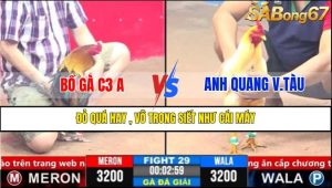 TRẬN 29 CPC3 19/3/2025